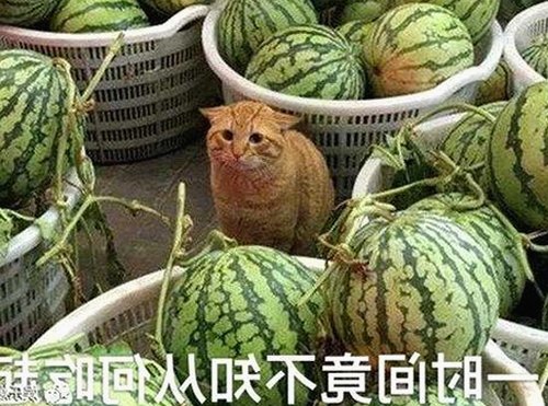 娱乐圈护肤新趋势曝光,明星吃瓜群体关注点转向养肤秘籍